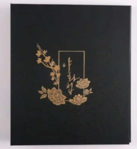 Nuovo raro ufficiale pittore - nuovo,
